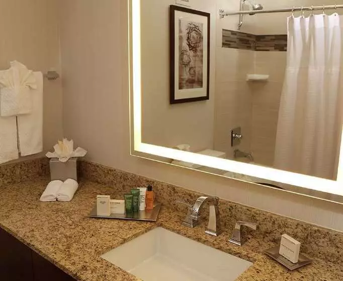 اتاق استاندارد با 2 تخت دوبل, Hilton Los Angeles/universal City