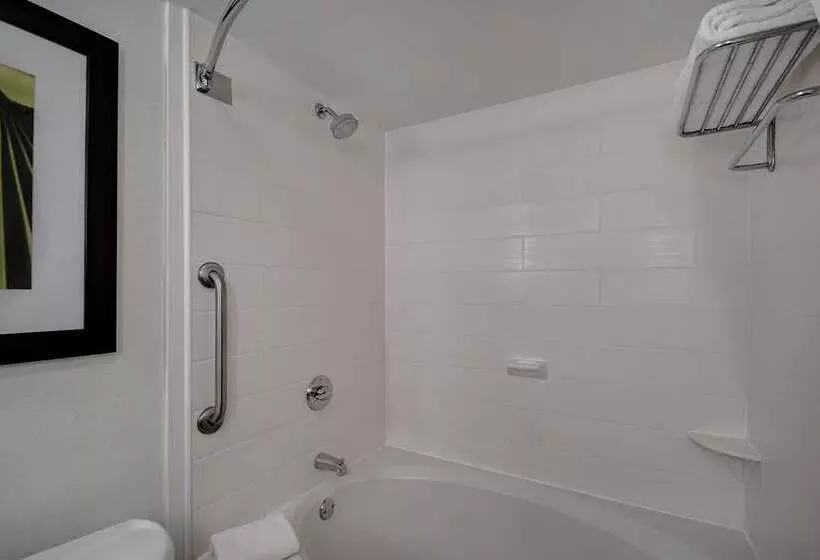 سوئیت با تخت بزرگ, Hilton Los Angeles/universal City