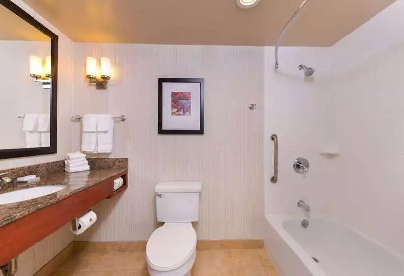 اتاق استاندارد با 2 تخت دوبل, Hilton Los Angeles/universal City