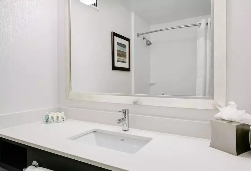 ２ダブルベッドのスタンダードルーム, Holiday Inn Hotel & Suites Overland Park West, An Ihg