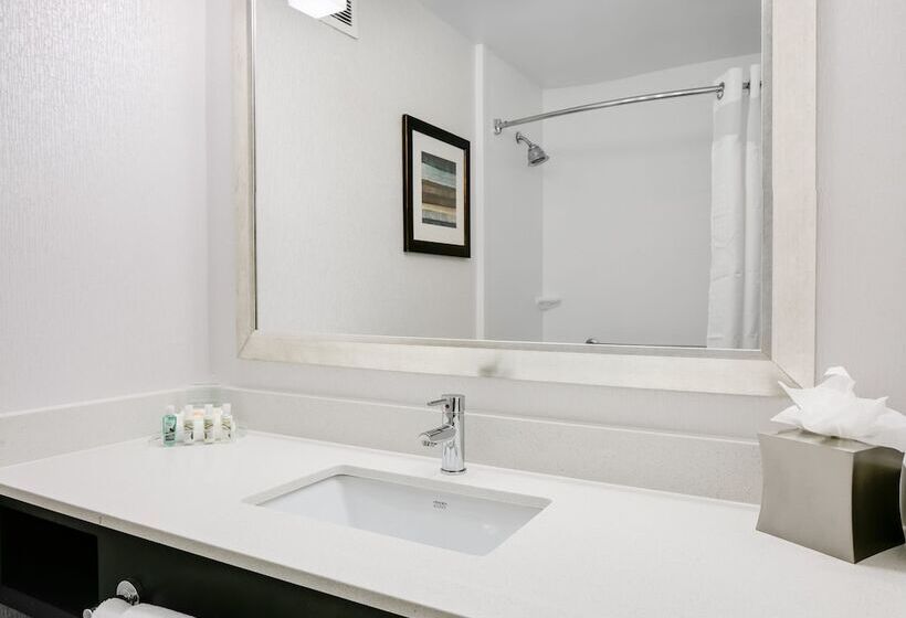 스위트, Holiday Inn Hotel & Suites Overland Park West, An Ihg