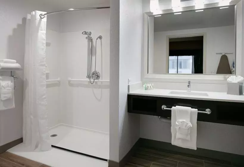 身障者適用スイートルーム, Holiday Inn Hotel & Suites Overland Park West By Ihg