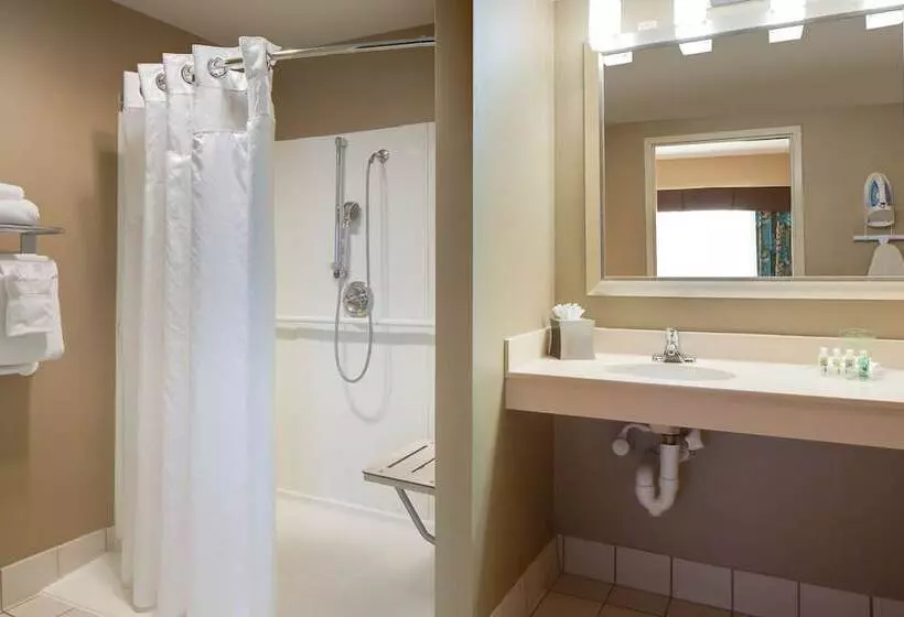 身障者適用スイートルーム, Holiday Inn Hotel & Suites Overland Park West By Ihg