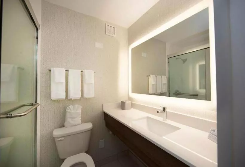 اتاق استاندارد با تخت بزرگ, Holiday Inn Express Athens University Area, An Ihg