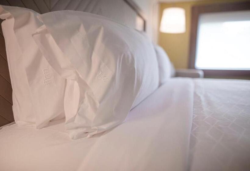 Standard Szoba King Size Bed, Holiday Inn Express Athens   University Area, An Ihg