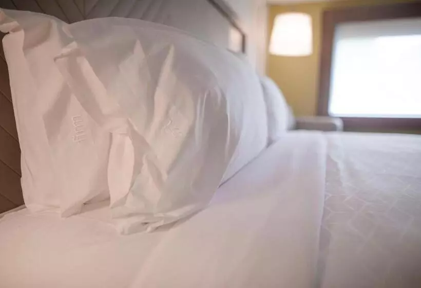 اتاق استاندارد با تخت بزرگ, Holiday Inn Express Athens University Area, An Ihg