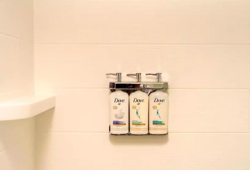 اتاق استاندارد با تخت بزرگ, Holiday Inn Express Athens University Area, An Ihg