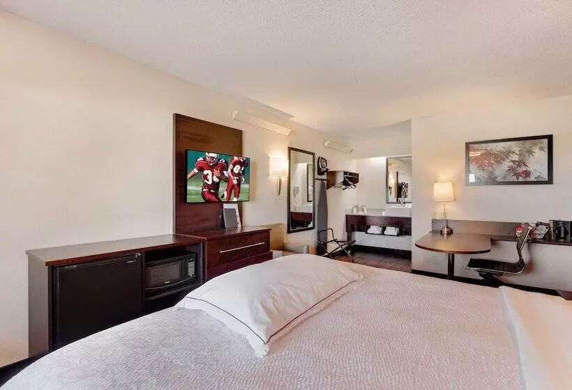 プレミアムルーム, Super 8 By Wyndham Deerfield   Northbrook