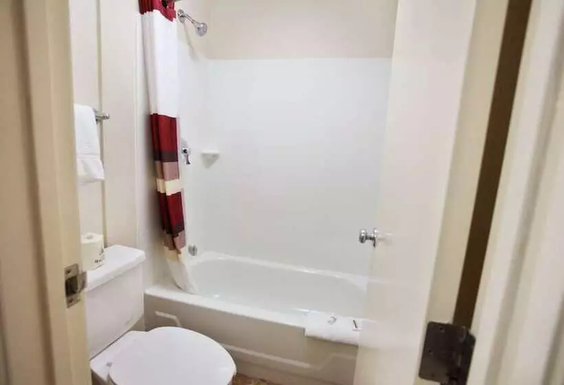 デラックスルーム, Red Roof Inn Plus+ Nashville Fairgrounds
