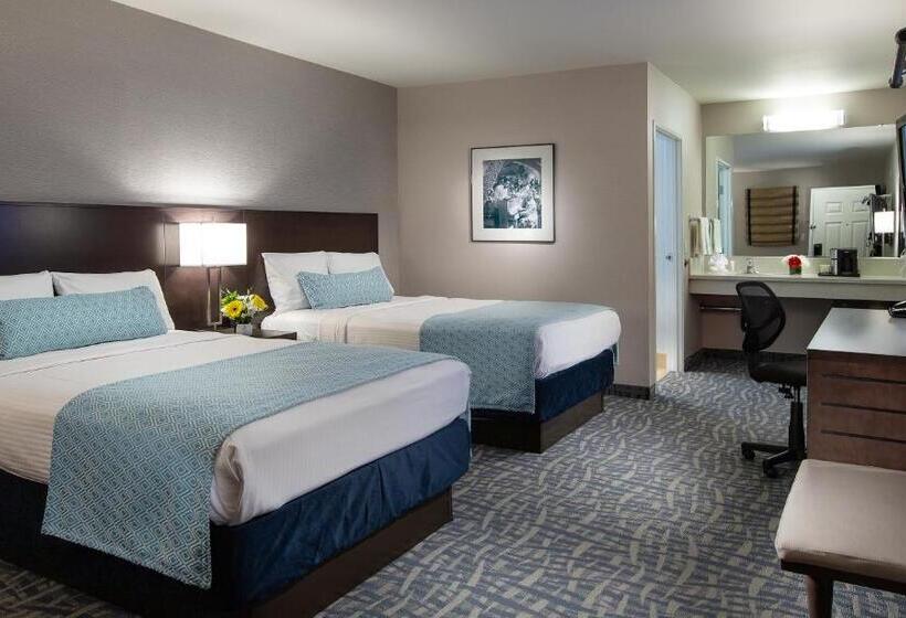 スタンダードルーム, Safari Inn, A Coast