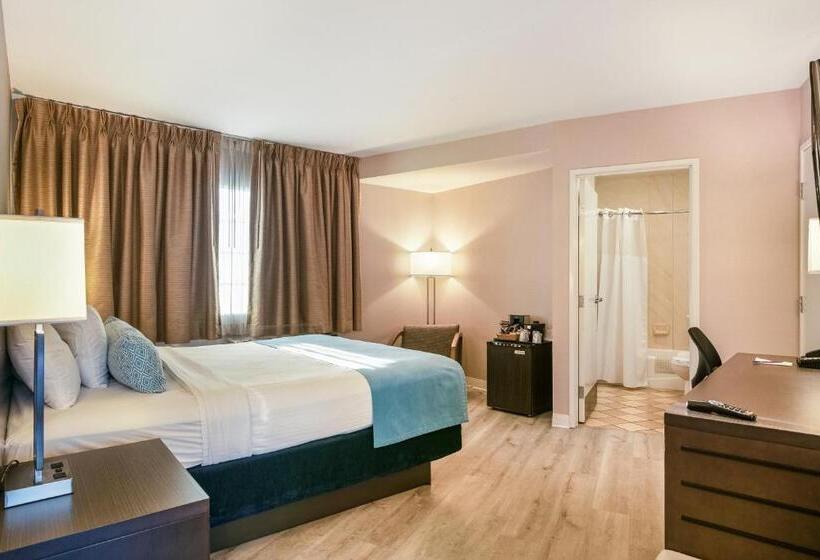 コンフォートシングルルーム, Safari Inn, A Coast