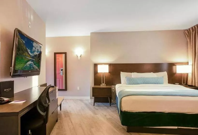 اتاق راحتی یک تخته, Safari Inn, A Coast