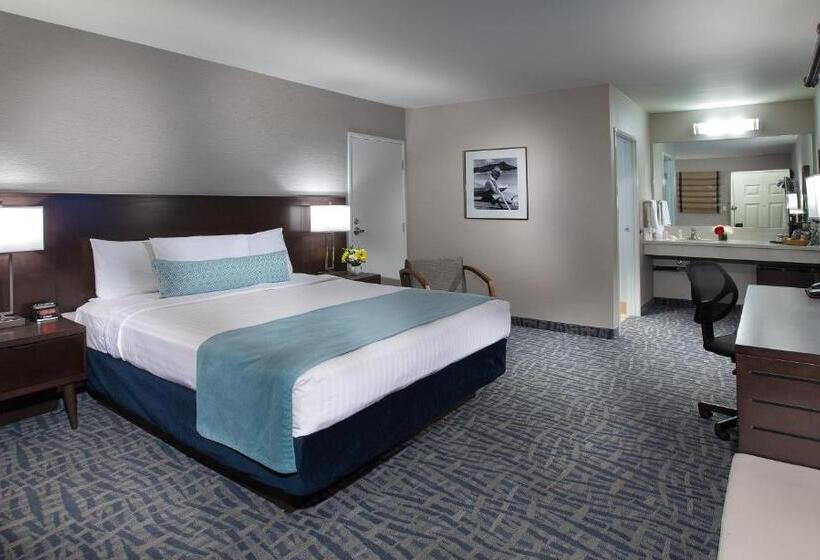 コンフォートシングルルーム, Safari Inn, A Coast