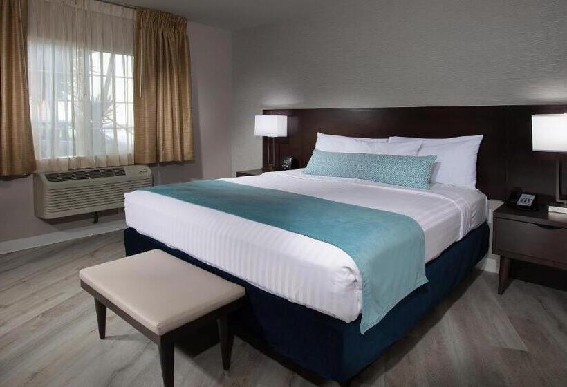舒适型单人间, Safari Inn, A Coast