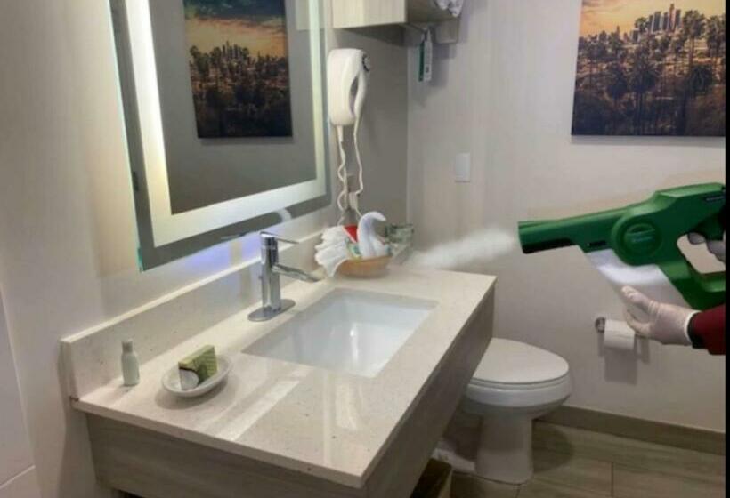 带大床的标准间, Surestay Hotel By Best Western Santa Monica