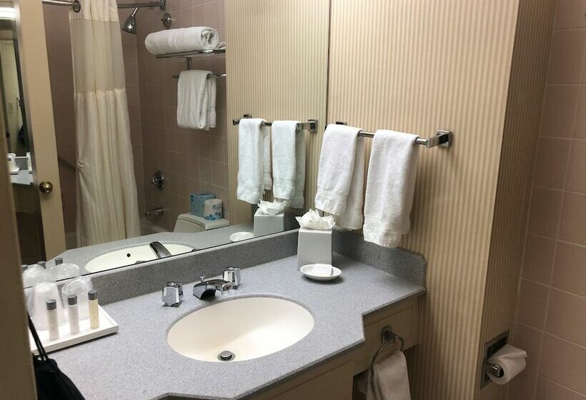 اتاق استاندارد با 2 تخت دوبل, The Manhattan at Times Square