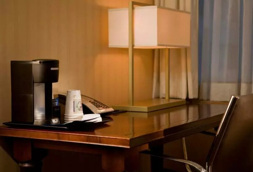 اتاق استاندارد با تخت بزرگ, The Manhattan at Times Square