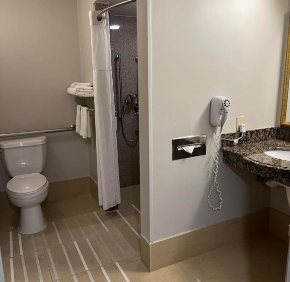 Номер Стандарт Кровать Кинг Адаптированный для Инвалидов, Xola