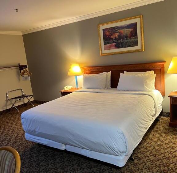 Номер Стандарт Кровать Кинг Адаптированный для Инвалидов, Xola