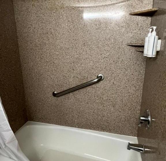 Номер Стандарт, Xola