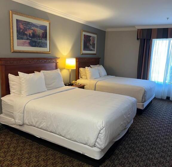 Номер Стандарт, Xola