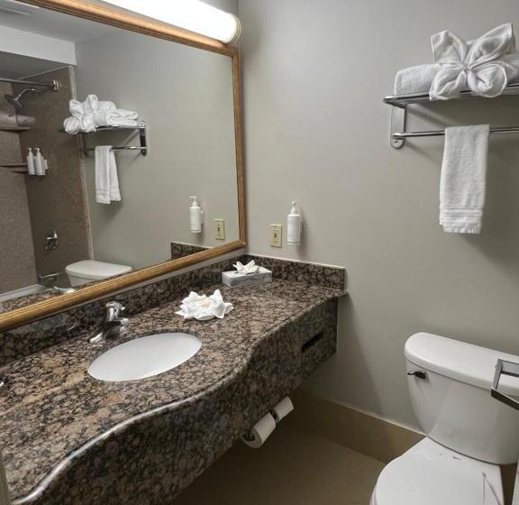 Номер Deluxe Кровать Кинг, Xola