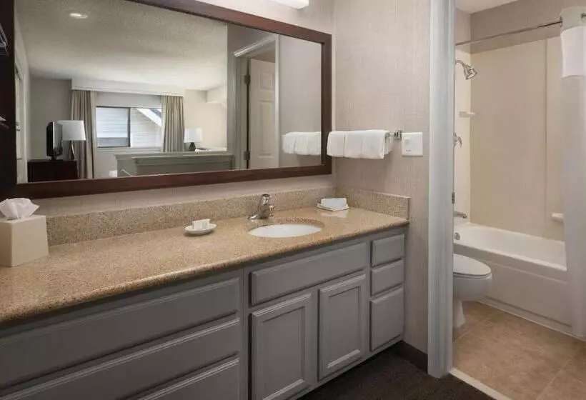 Sviitti 2 Makuuhuonetta, Residence Inn By Marriott Seattle/bellevue