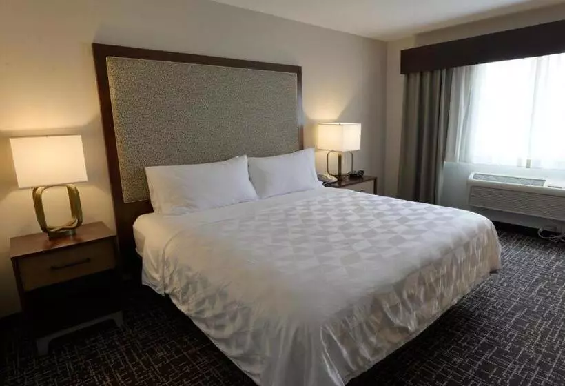 スタンダードルーム, Holiday Inn Hotel & Suites Minneapolis Lakeville, An Ihg