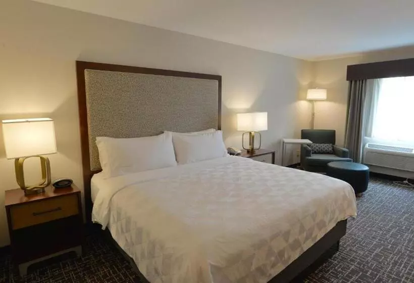 キングサイズベッドのスタンダードルーム, Holiday Inn Hotel & Suites Minneapolis Lakeville, An Ihg