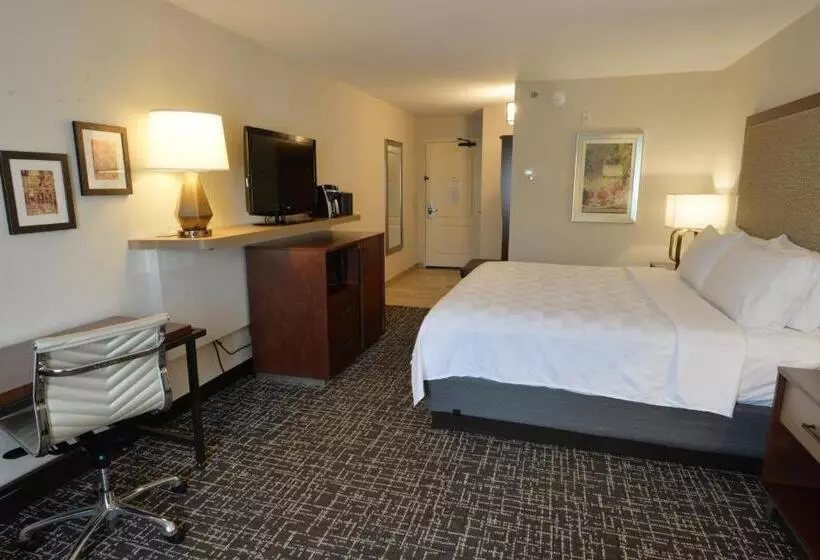 キングサイズベッドのスタンダードルーム, Holiday Inn Hotel & Suites Minneapolis Lakeville, An Ihg