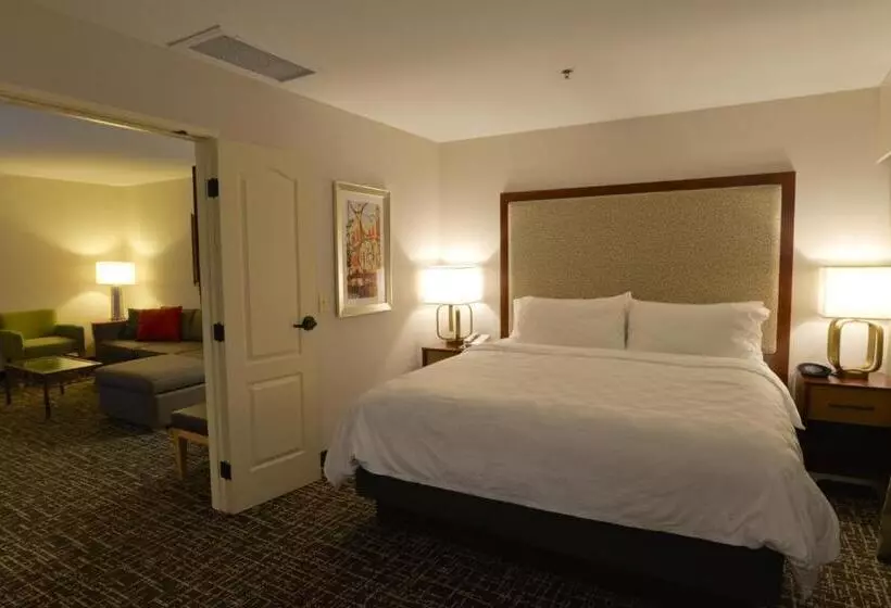 バルコニー付スイート, Holiday Inn Hotel & Suites Minneapolis Lakeville, An Ihg