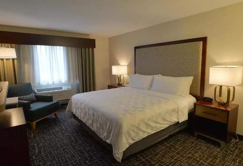 キングサイズベッドのスイートルーム, Holiday Inn Hotel & Suites Minneapolis Lakeville, An Ihg