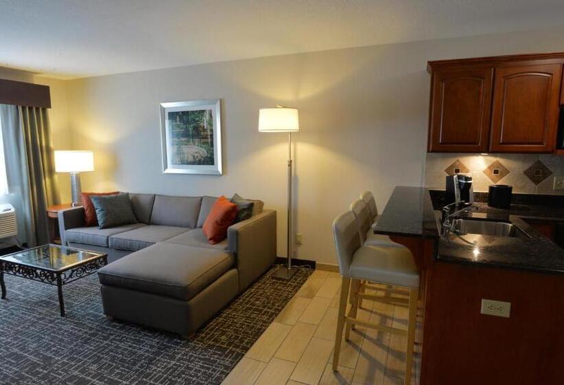 غرفة إدارية سرير كينج, Holiday Inn Hotel & Suites Minneapolis Lakeville, An Ihg