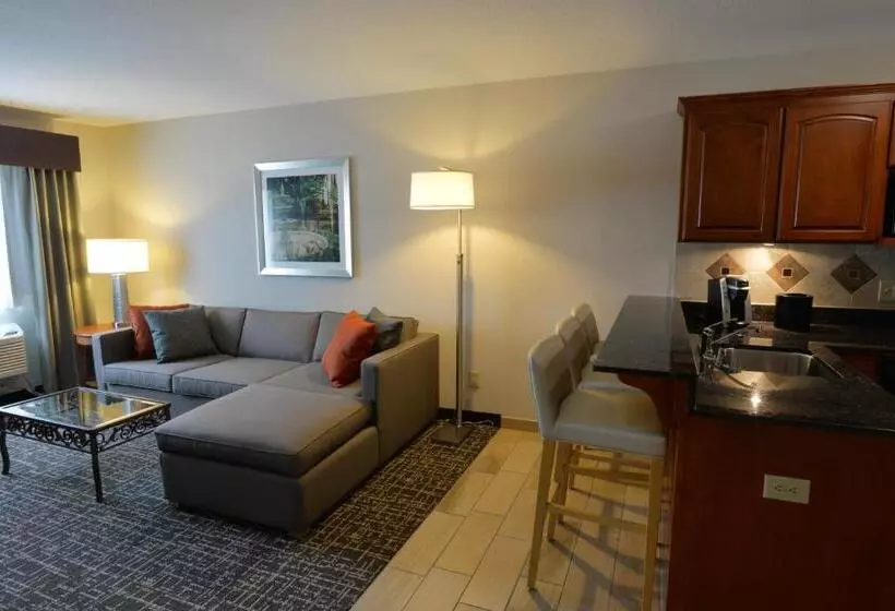 キングサイズベッドのエクゼクティブルーム, Holiday Inn Hotel & Suites Minneapolis Lakeville, An Ihg