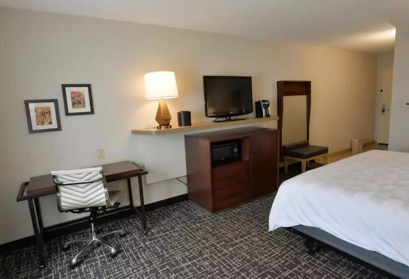 身障者適用キングサイズベッドルーム, Holiday Inn Hotel & Suites Minneapolis Lakeville, An Ihg