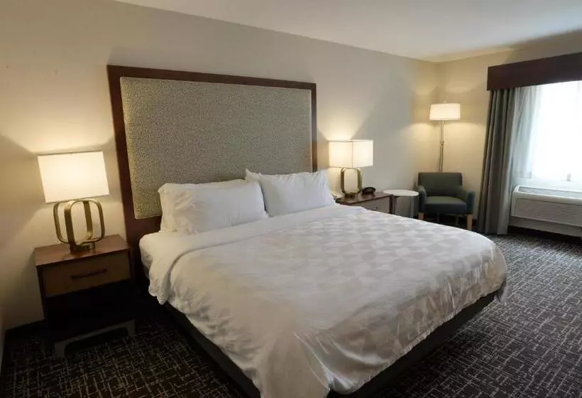 身障者適用キングサイズベッドルーム, Holiday Inn Hotel & Suites Minneapolis Lakeville, An Ihg