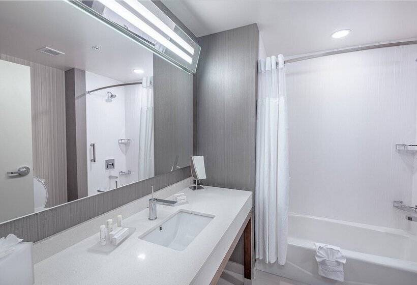 套房, Courtyard By Marriott Toledo West