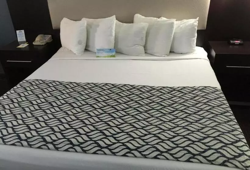 キングサイズベッドのスタンダードルーム, Days Inn By Wyndham Austin/university/downtown