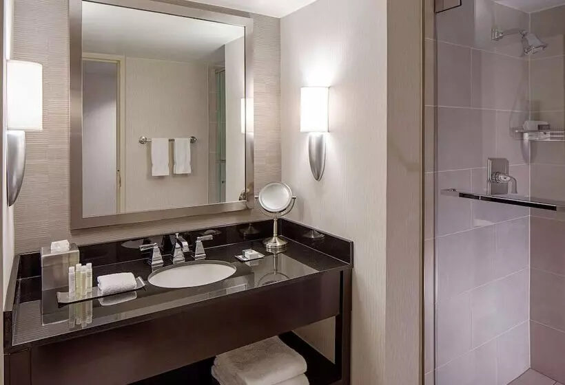 デラックススイート, Doubletree By Hilton Hotel Houston   Greenway Plaza