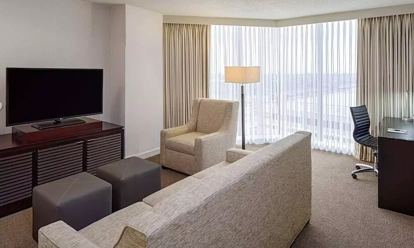 デラックススイート, Doubletree By Hilton Hotel Houston   Greenway Plaza