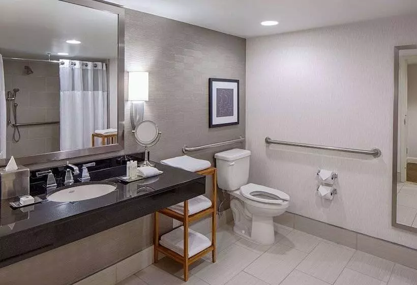身障者適用スタンダードルーム, Doubletree By Hilton Hotel Houston   Greenway Plaza