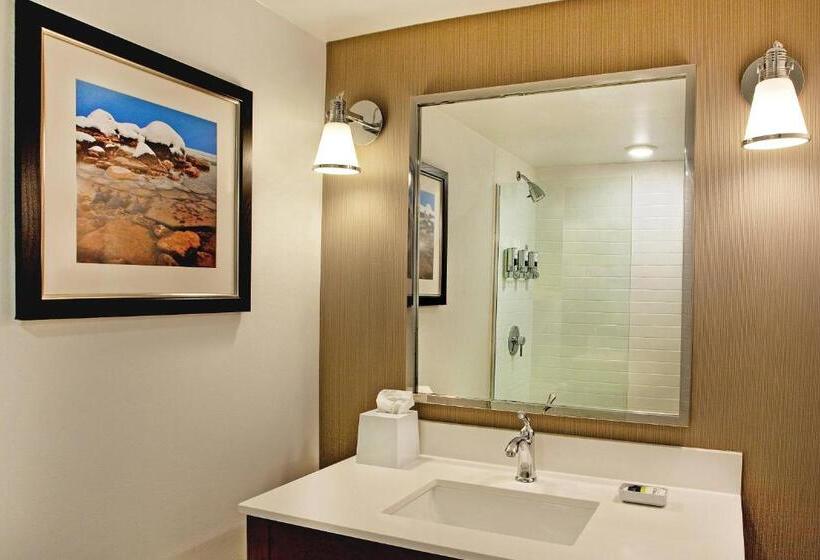 Номер Стандарт, Four Points By Sheraton Saginaw