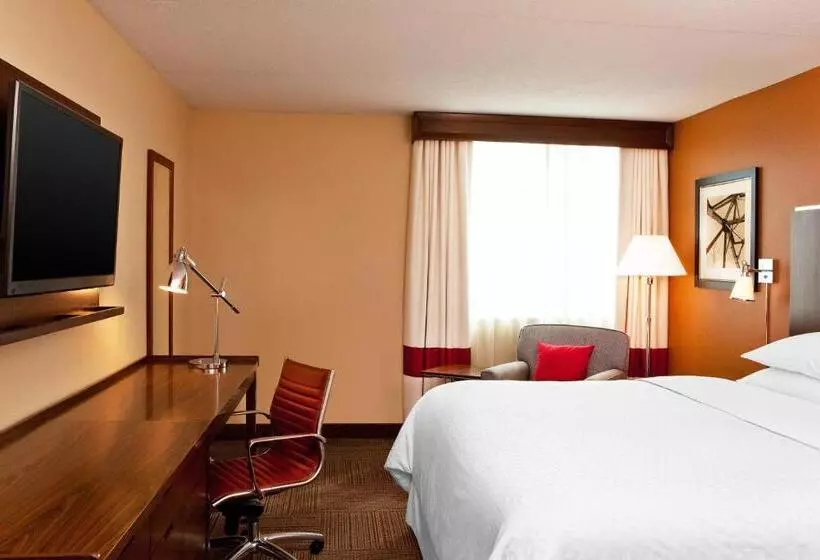 اتاق استاندارد با تخت دو نفره بزرگ برای معلولان, Four Points By Sheraton Saginaw
