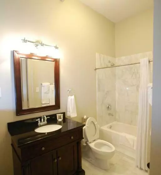 اتاق لوکس با تخت بزرگ, Inn On St. Peter, A French Quarter Guest Houses Property