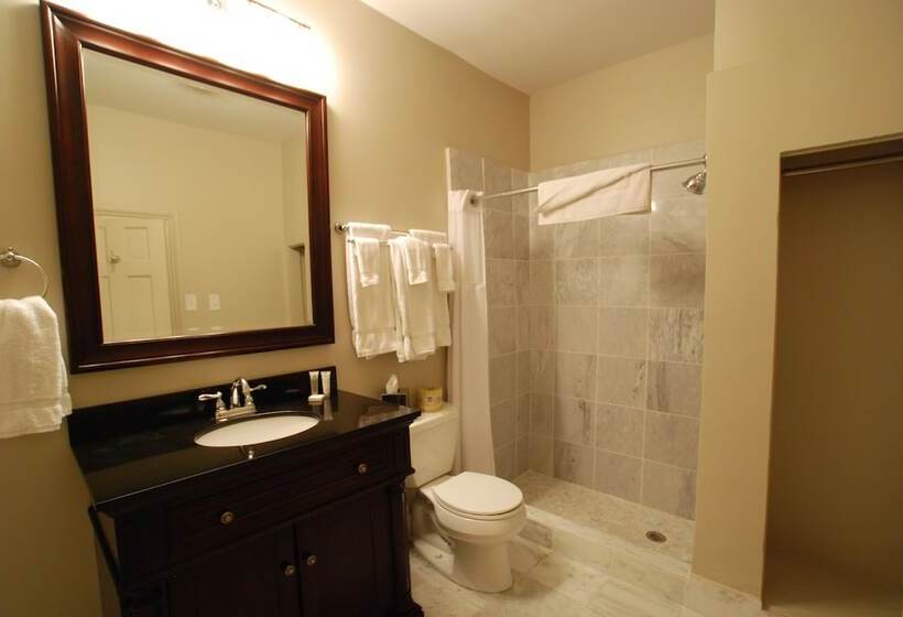 디럭스 룸, Inn On St. Peter, A French Quarter Guest Houses Property