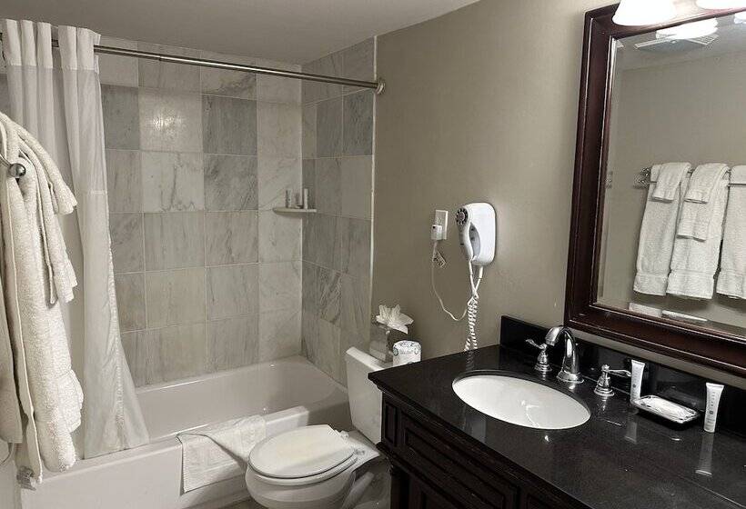 اتاق لوکس, Inn On St. Peter, A French Quarter Guest Houses Property