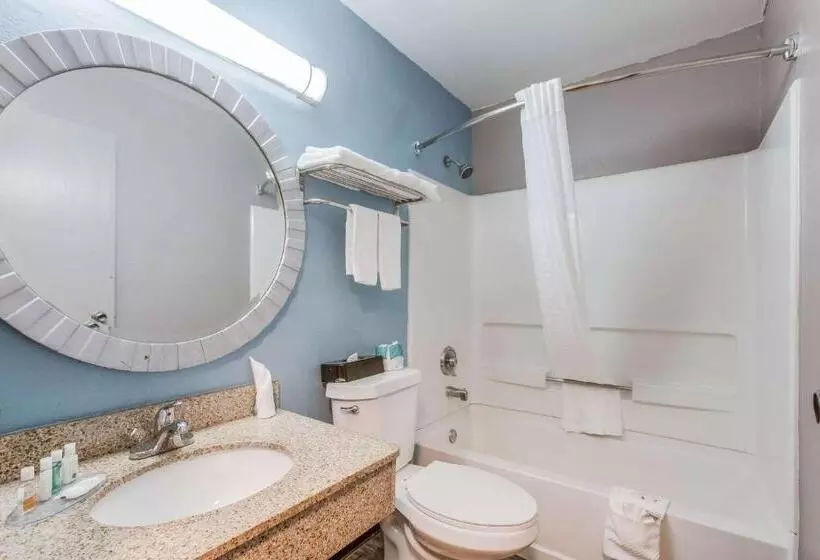اتاق استاندارد با تخت بزرگ, Quality Inn Atlanta Airport Central