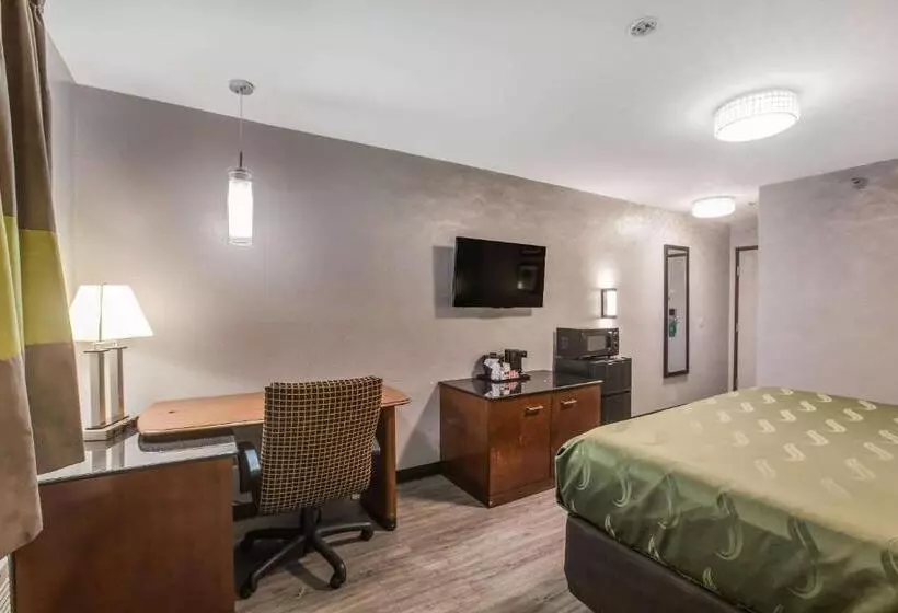 اتاق استاندارد با تخت بزرگ, Quality Inn Atlanta Airport Central