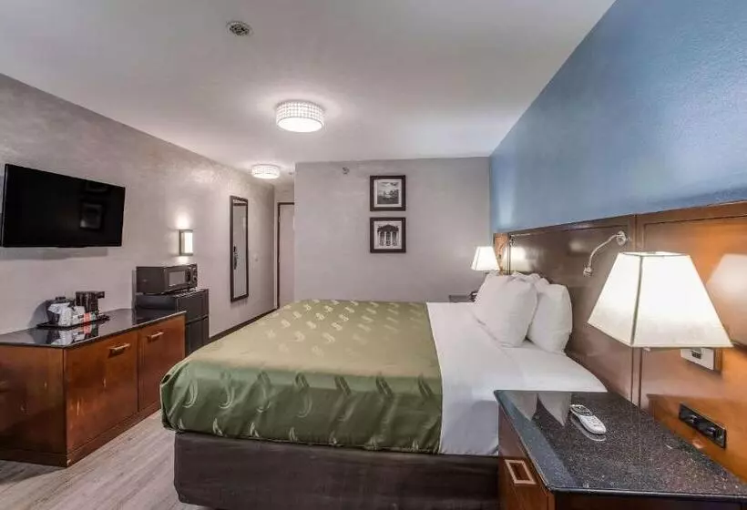 اتاق استاندارد با تخت بزرگ, Quality Inn Atlanta Airport Central