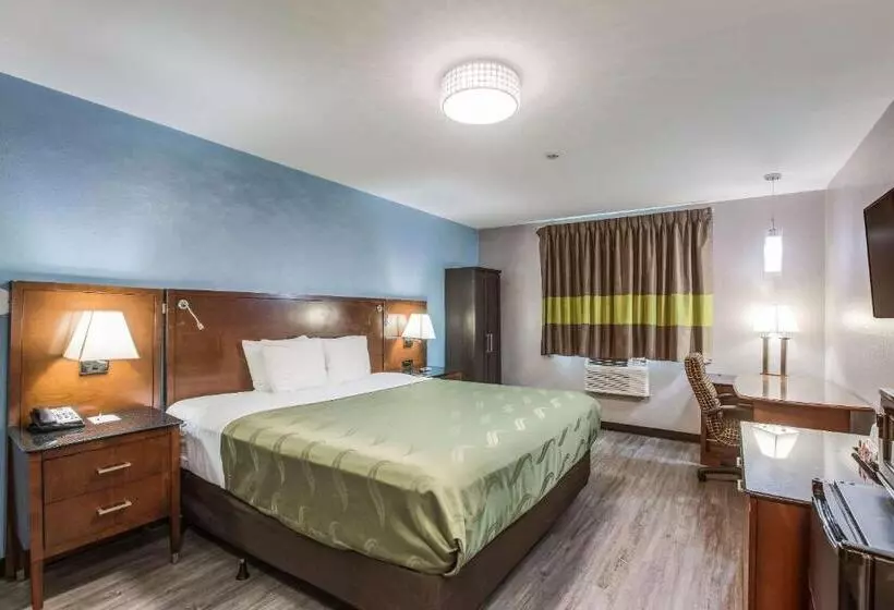 اتاق استاندارد با تخت بزرگ, Quality Inn Atlanta Airport Central
